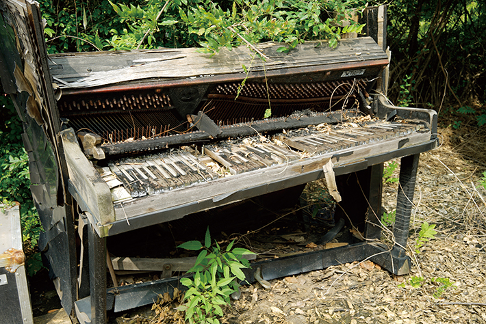 풀들의 놀이터가 된 낡은 피아노