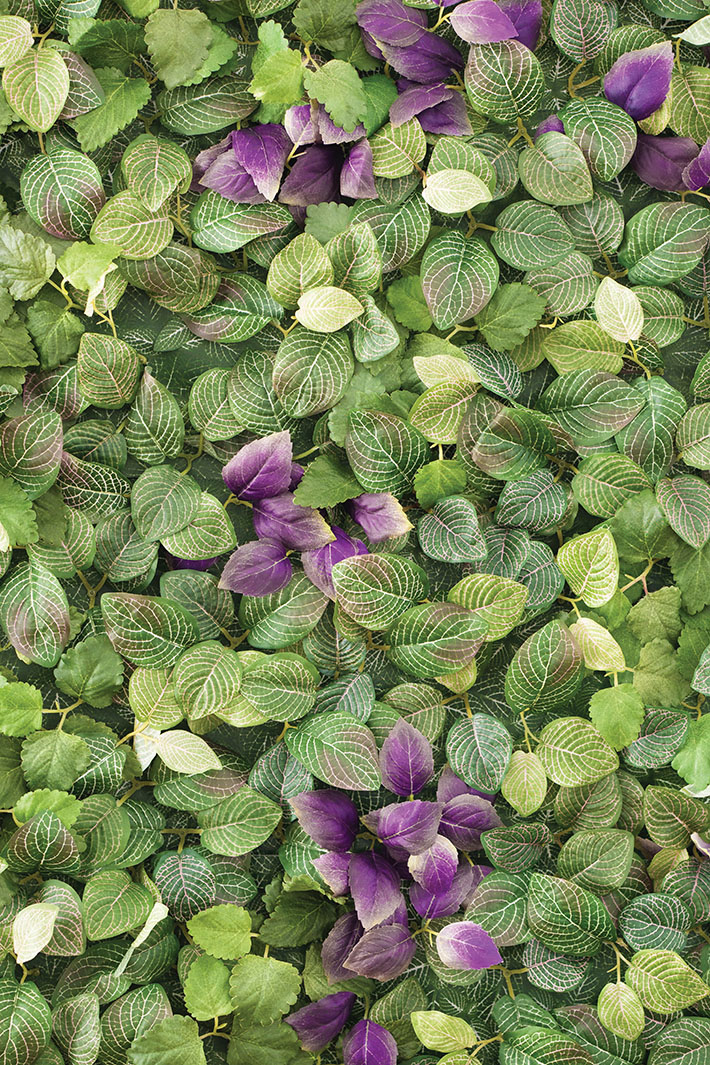 단면에 놓인 보라색, 녹색 꽃이 입체감 있는 이미지로 표현된다.