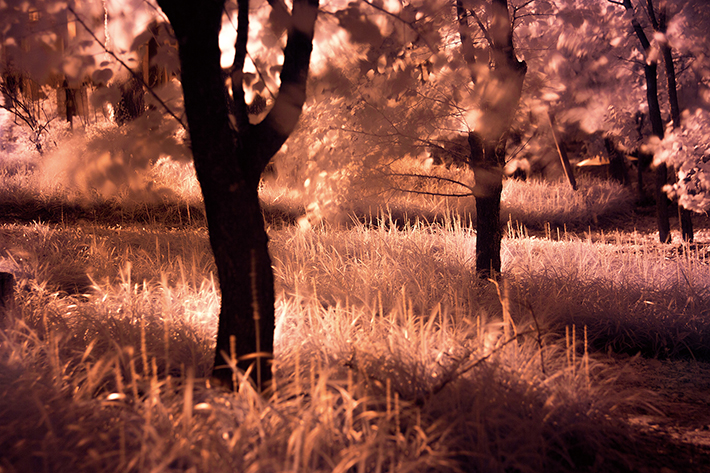 Canon EOS 5D Mark III + EF24-70mm f/2.8L II USM, Infrared 필터 착용 F4.5, 300s, iSO 200