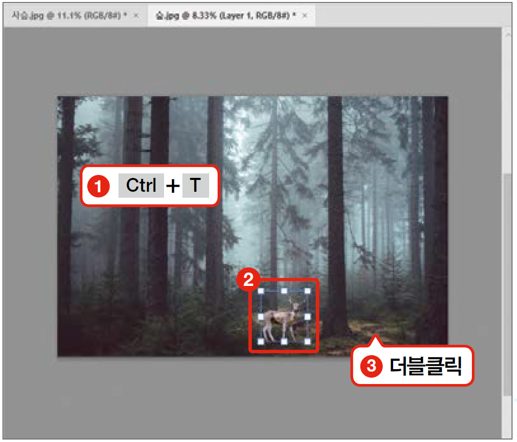 자유 변형 기능을 적용한 후 이미지 변형을 완료하려면 Enter를 누르거나 작업 영역을 더블클릭한다.